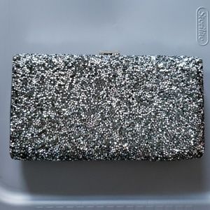 Silver Glint Nordstorm Purse Bag